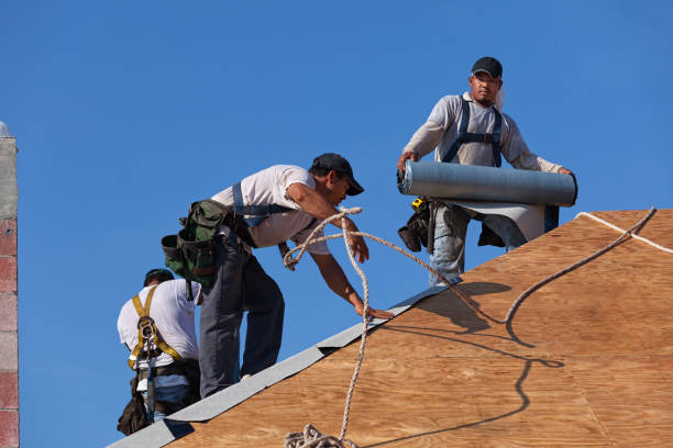 Gutter Installation and Roofing in Spring Grove, IL