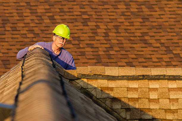 Best Roofing Contractor Near Me  in Spring Grove, IL