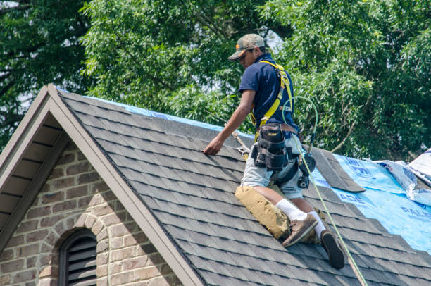 Best New Roof Installation  in Spring Grove, IL